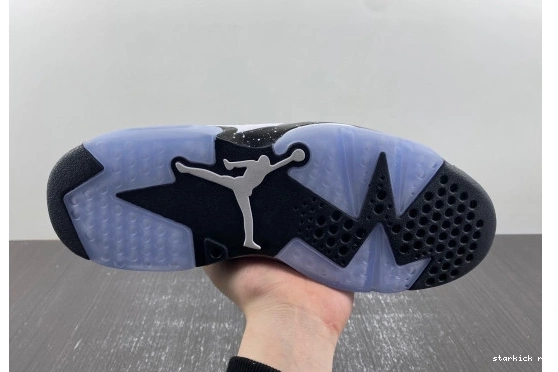 6 Reverse Jordan  CT8529-112 CT8529-112 Retro Oreo 0815